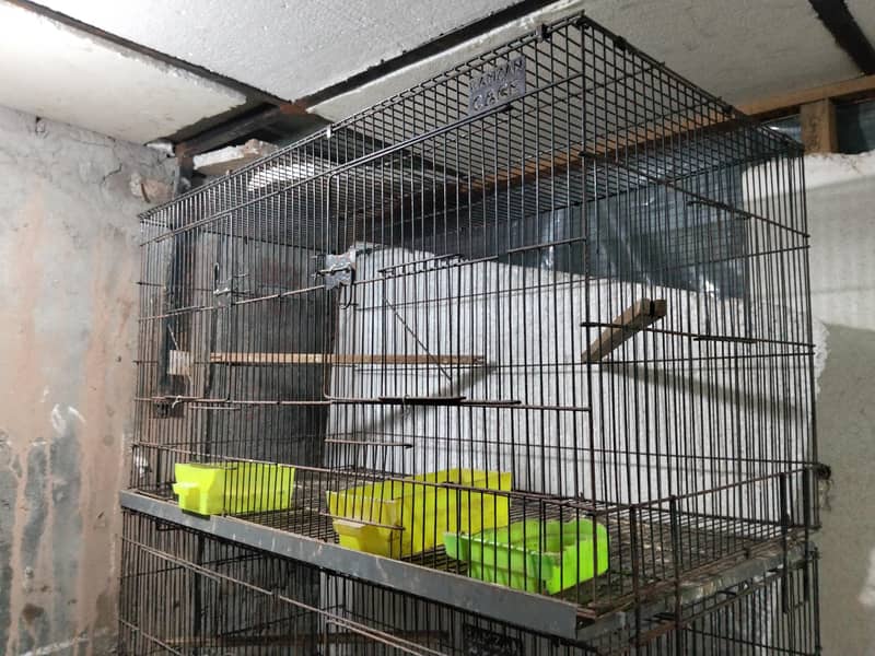 Folding Cages 5