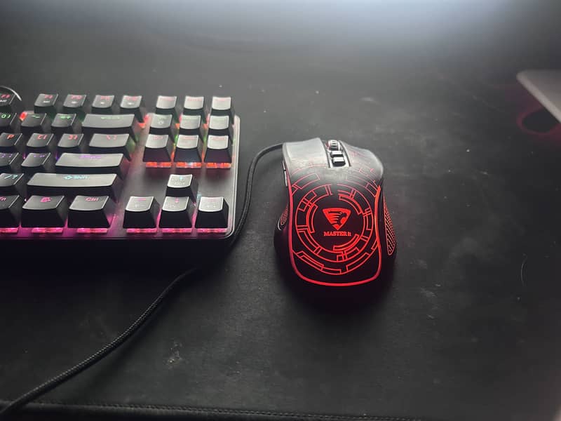 Gaming setup 4
