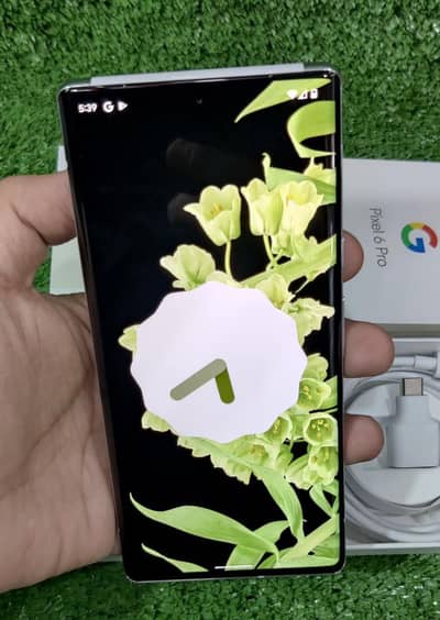 Google Pixel 6 Pro 256 GB 0342/0708/863