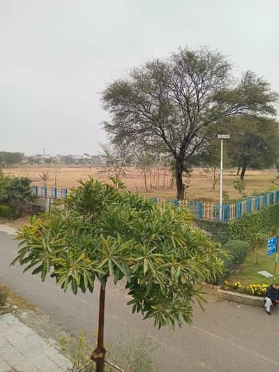 G 14 / 2 Street 88 Ideal Location Solid Land Plot For Sale Ideal Location Cutting Area Plot Ready For Construction Your Own Dreams