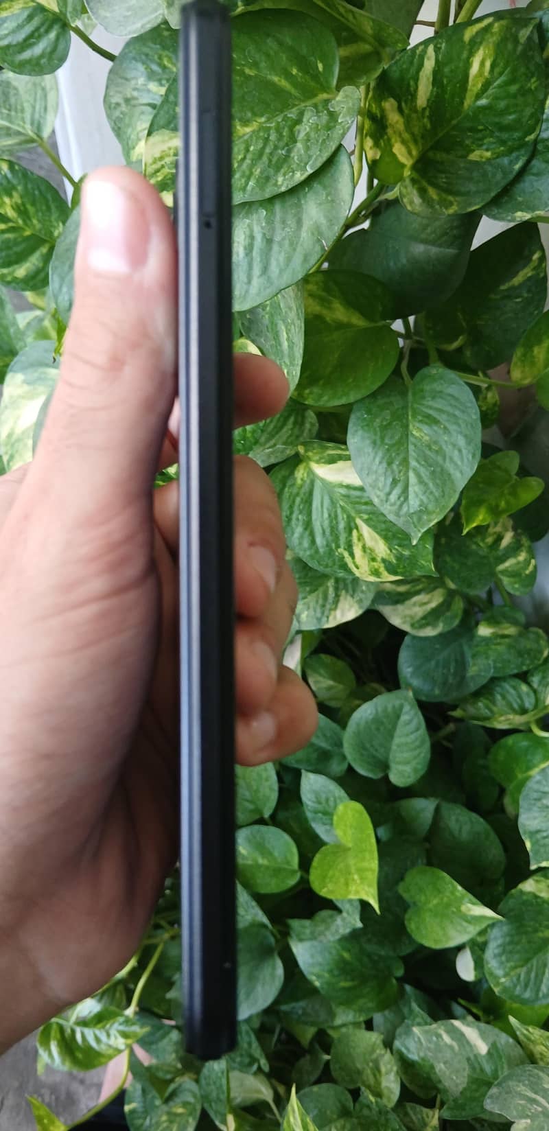 03325432733 2