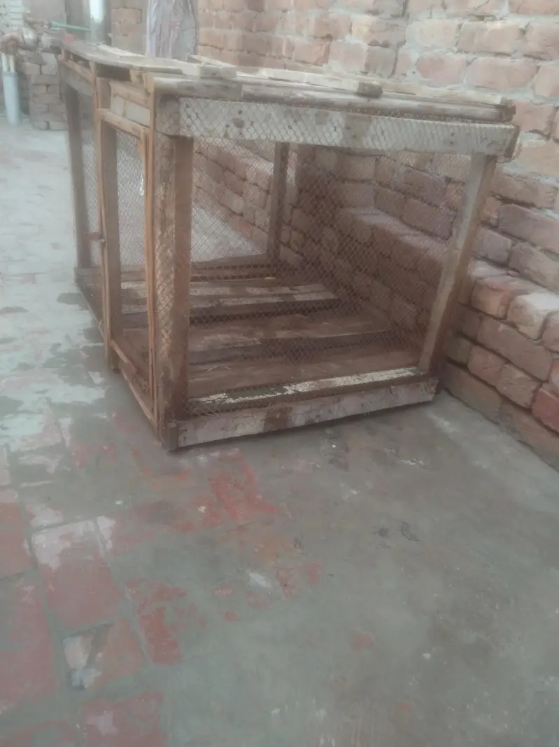 lakri se bna hoa cage for sale — photo 2