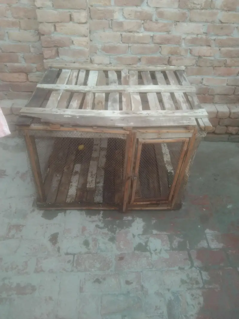 lakri se bna hoa cage for sale — photo 3