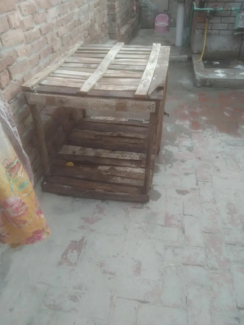 lakri se bna hoa cage for sale — photo 4