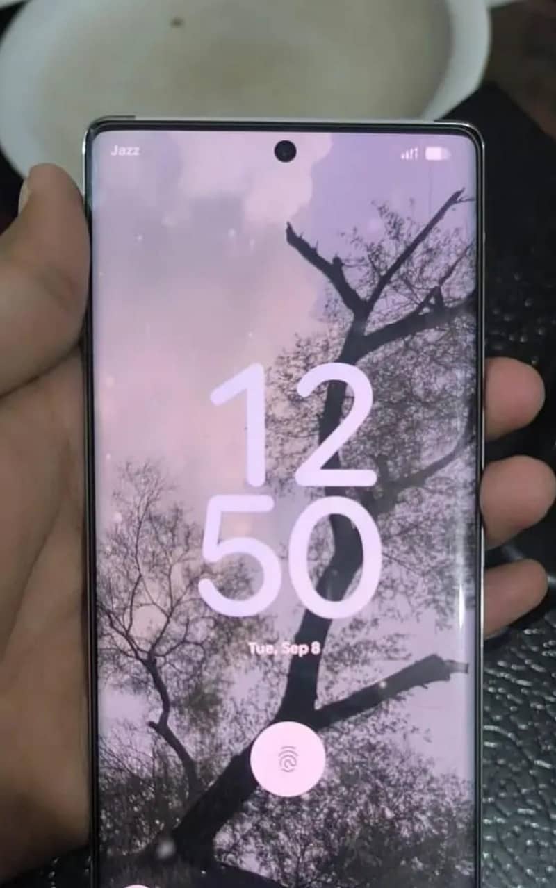 Google Pixel 6 Pro 1