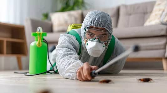 best control fumigation & termite control & deemak/•provide PVD LTD
