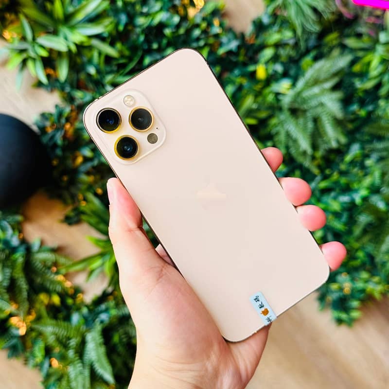 Apple iPhone 12 Pro 1