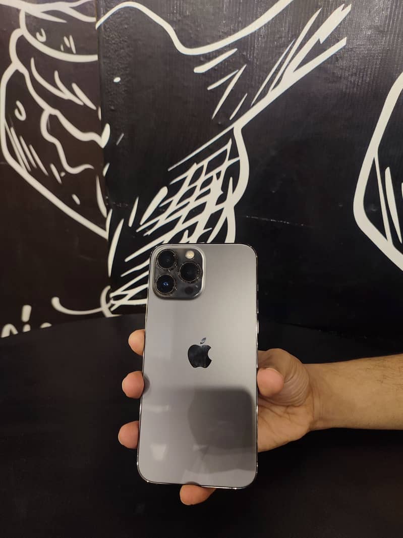 Apple iPhone 13 Pro Max 1