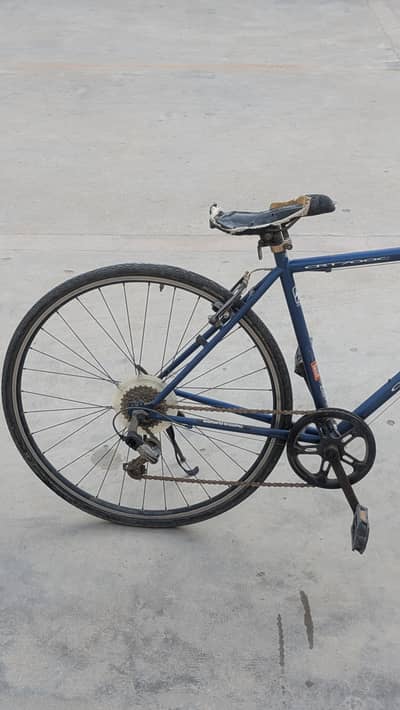 mountain cycle for sell