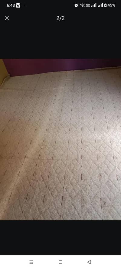 carpet