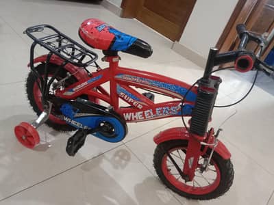 Cycle Bicycles excellent condition
