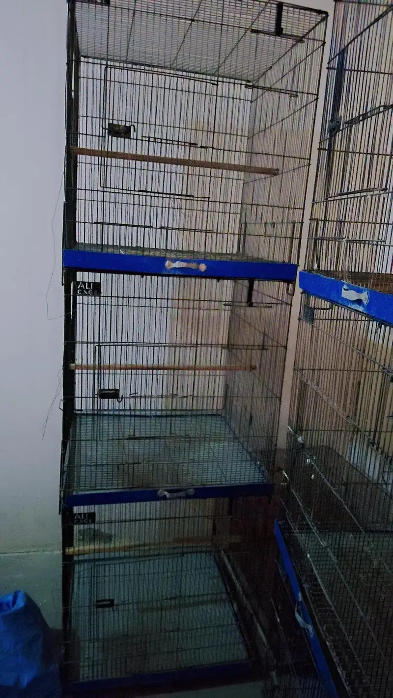 large parrot cages for sale and boxes for sale — photo 2