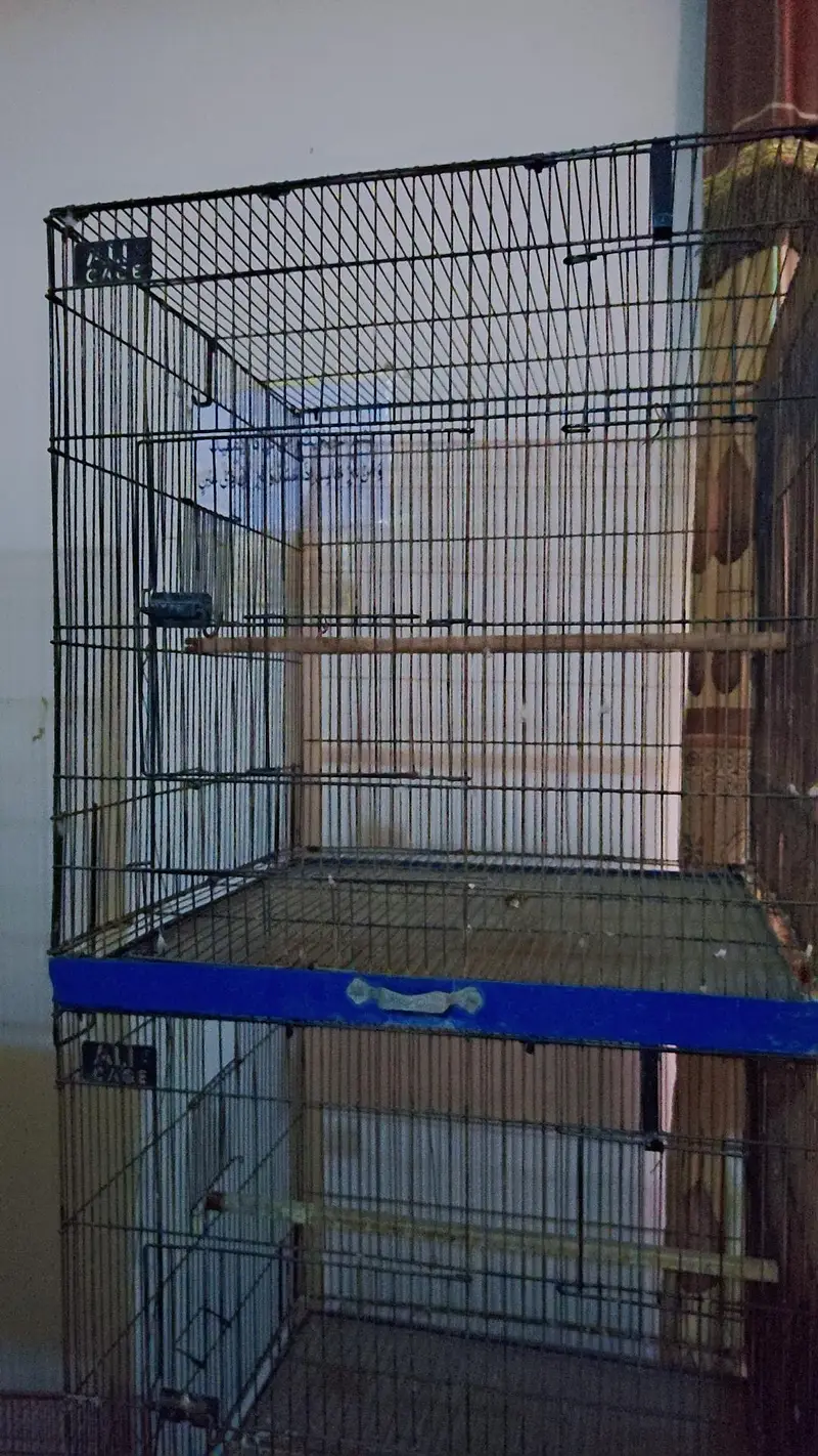 large parrot cages for sale and boxes for sale — photo 3