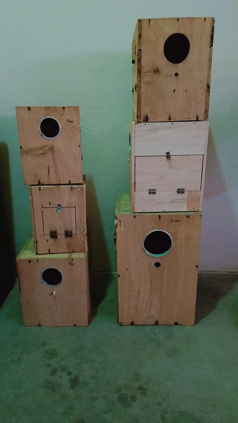 large parrot cages for sale and boxes for sale — photo 4