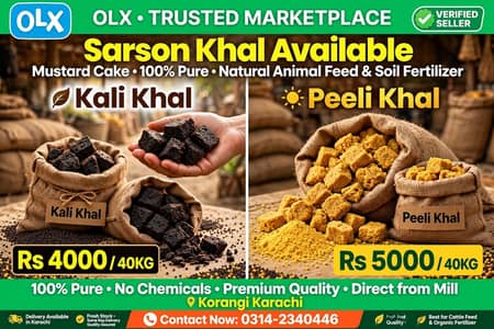 black & yellow mustard khall