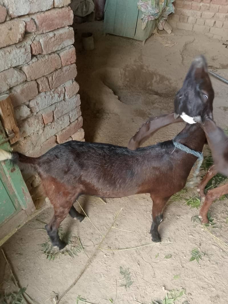 1 Path for sail 6