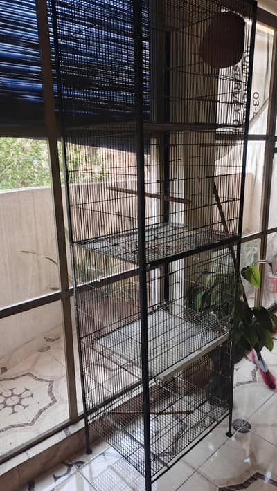 cage khuda parrot