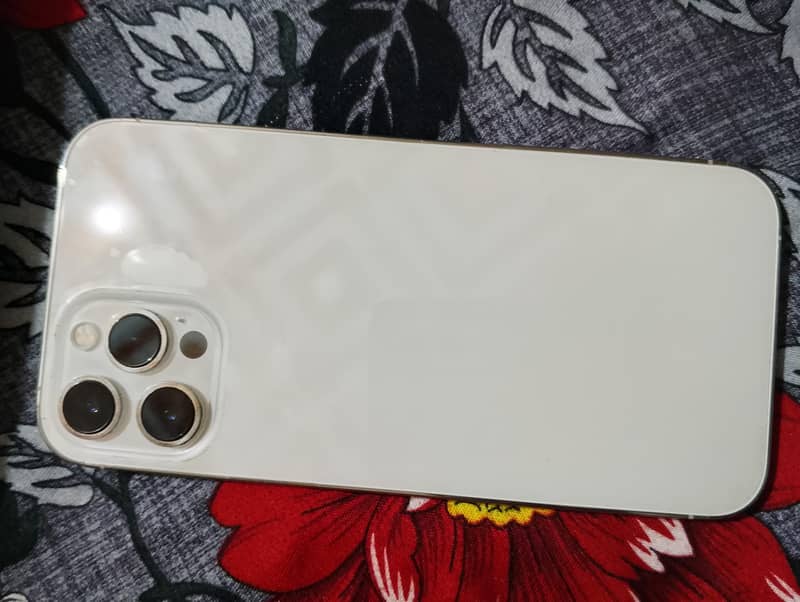 Apple iPhone 12 Pro Max 1
