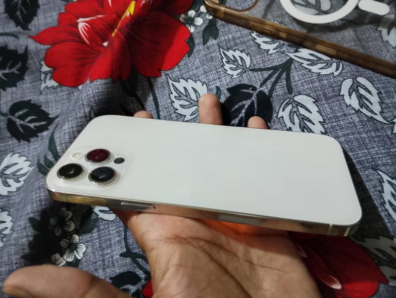 Apple iPhone 12 Pro Max 2