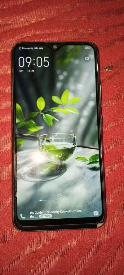 Vivo Y17
