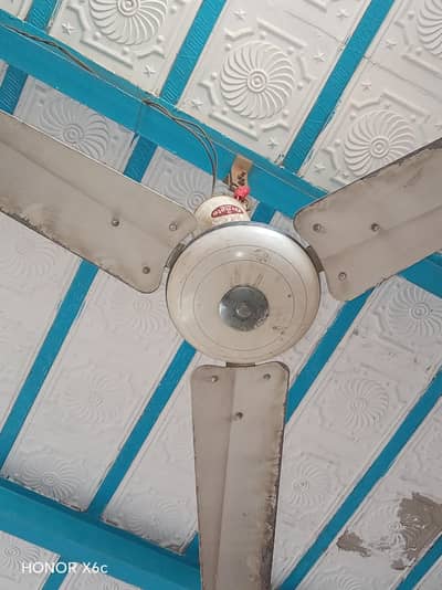 Fan for sale