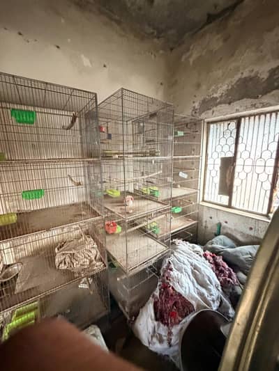 2 Cages For Sale 4 Portion