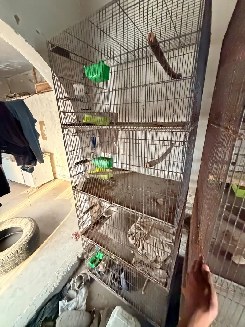 2 Cages For Sale 4 Portion — photo 2