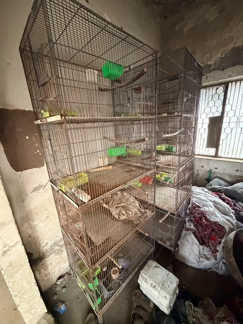2 Cages For Sale 4 Portion — photo 5