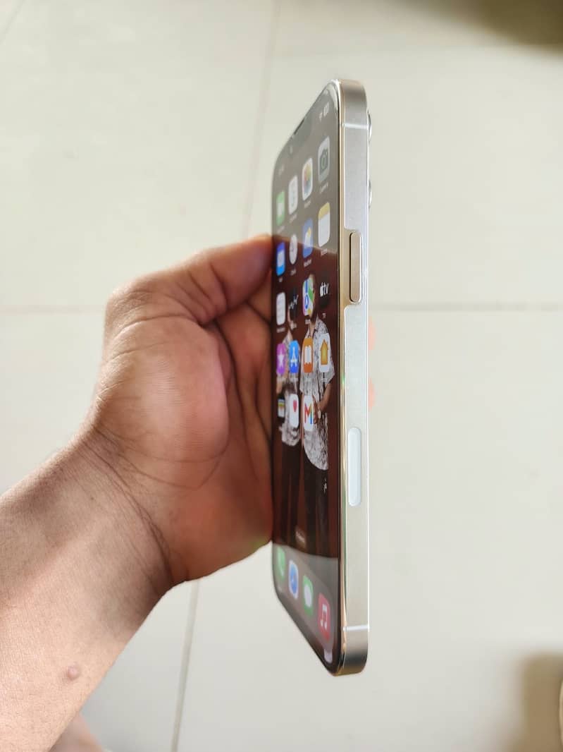 Apple iPhone 13 Pro Max 1
