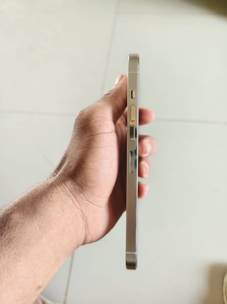 Apple iPhone 13 Pro Max 2