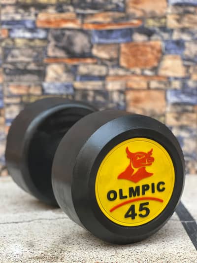 Premium Gym Dumbbells – Direct Manufacturer & Wholesale Supplier