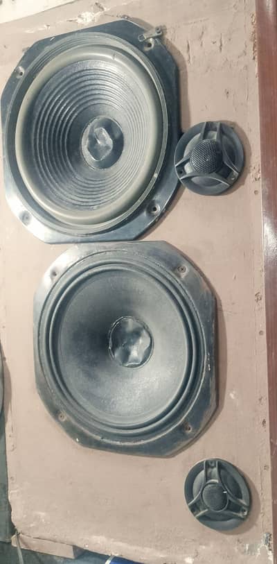 10 inch 2 speakr