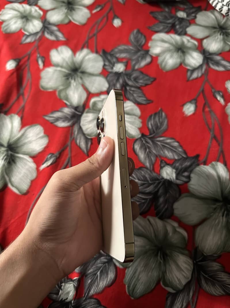 Apple iPhone 13 Pro 0