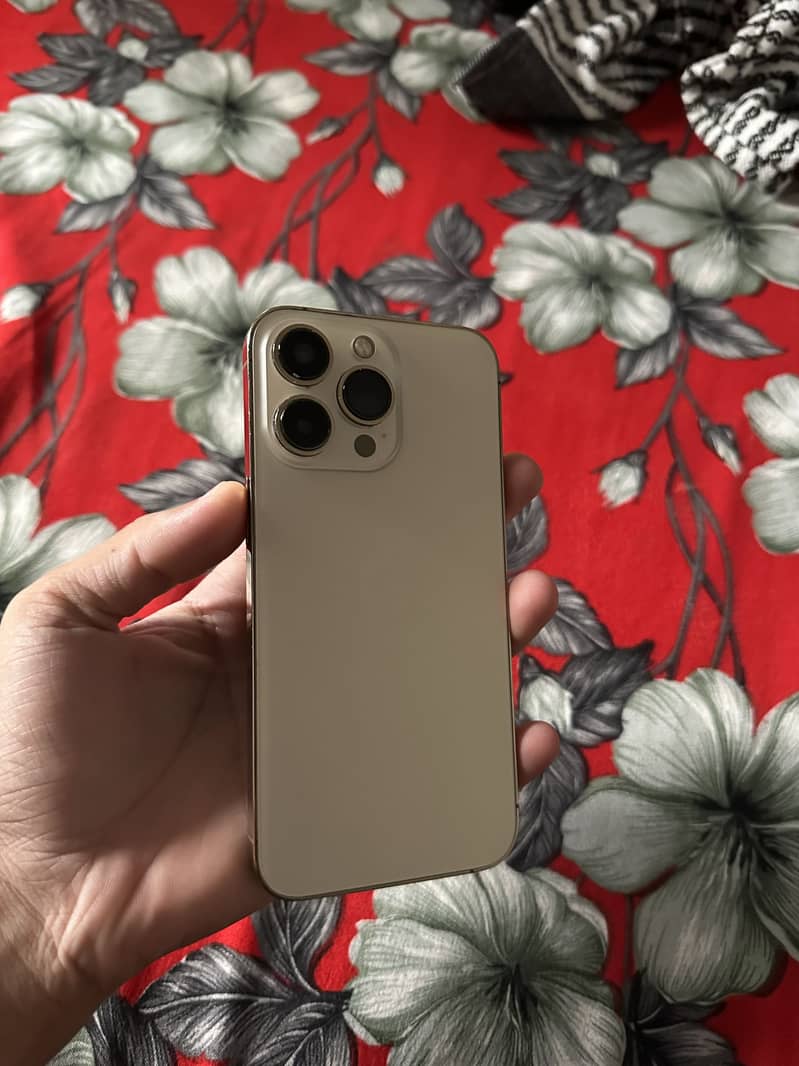 Apple iPhone 13 Pro 2