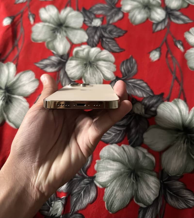 Apple iPhone 13 Pro 4