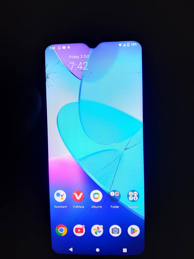 vivo , 2