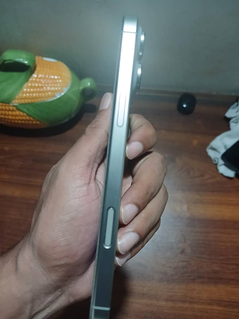 16 pro max 4
