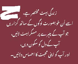 AL Syed solar Traders multan