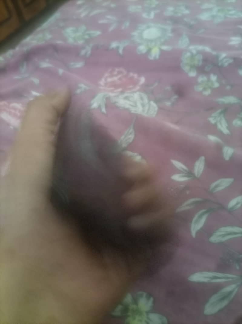 Xiaomi POCO C75 3