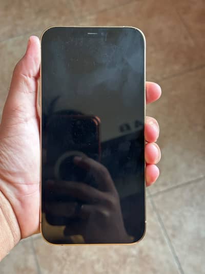 Apple iPhone 12 Pro Max