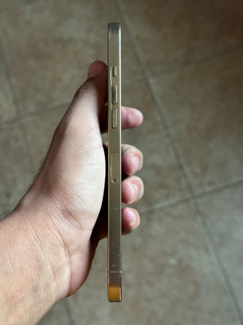Apple iPhone 12 Pro Max 2