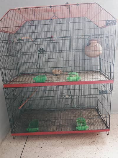 BUDGIES CAGE
