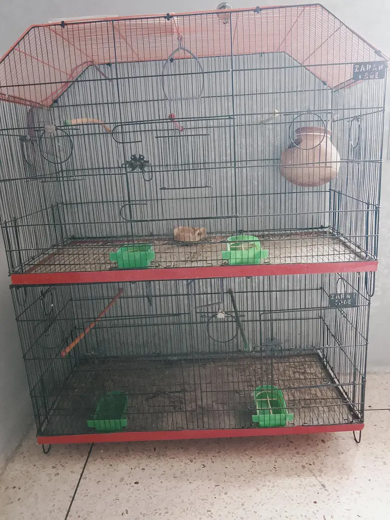 BUDGIES CAGE — photo 3