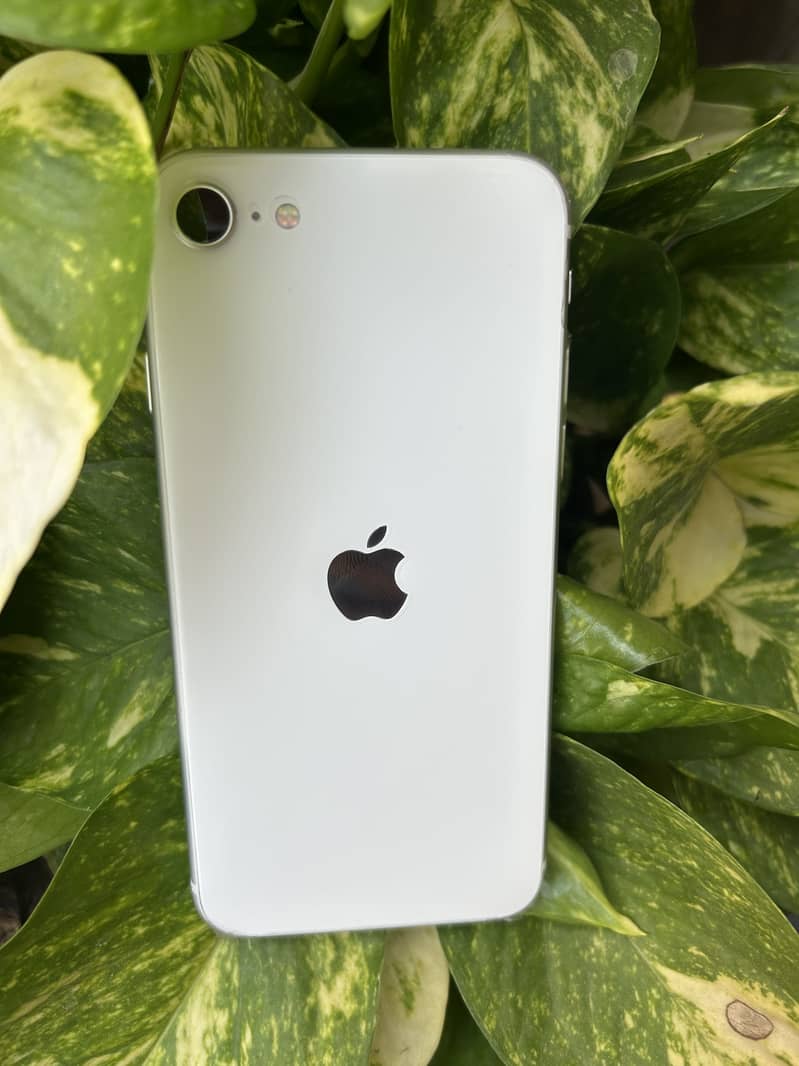Apple iPhone SE 2