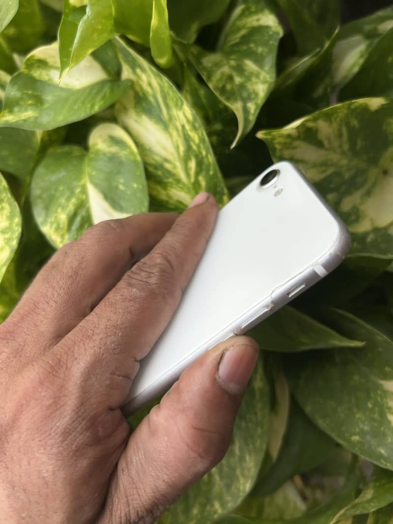 Apple iPhone SE 3