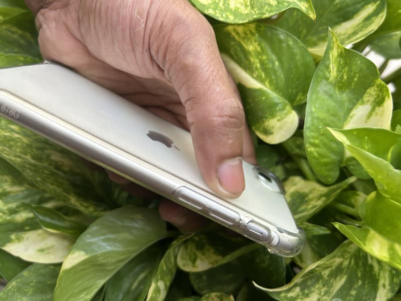 Apple iPhone SE 6