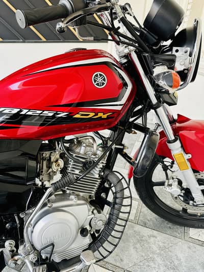 Yamaha YBZ DX 125 Neat and Clean