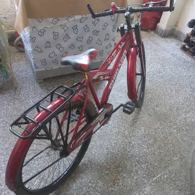 Chicago Bicycle for Sale (Full Size)