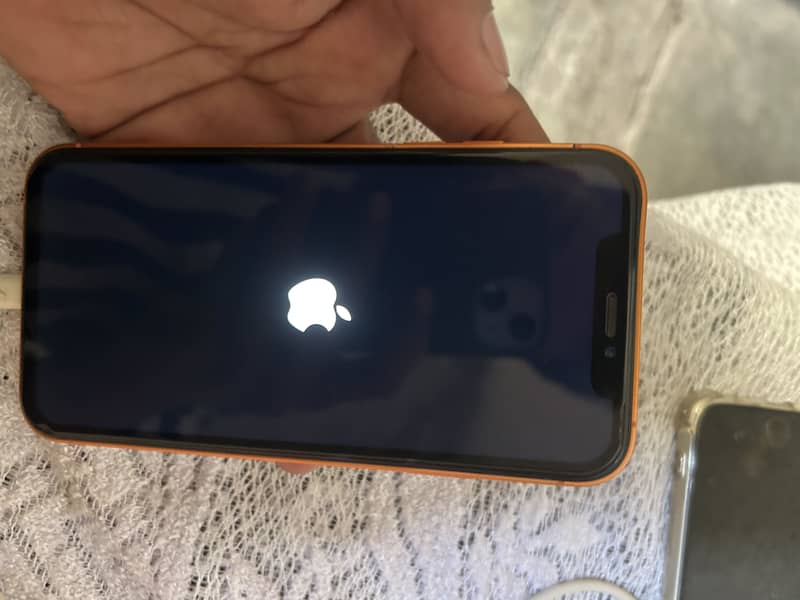 Apple iPhone XR 1