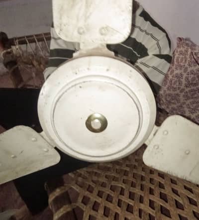 Celling fan